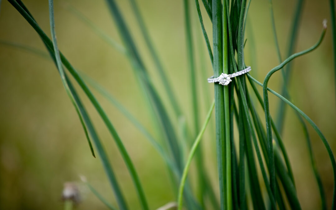 Explaining Divorce And The Effects On Your Estate Plan Part 1