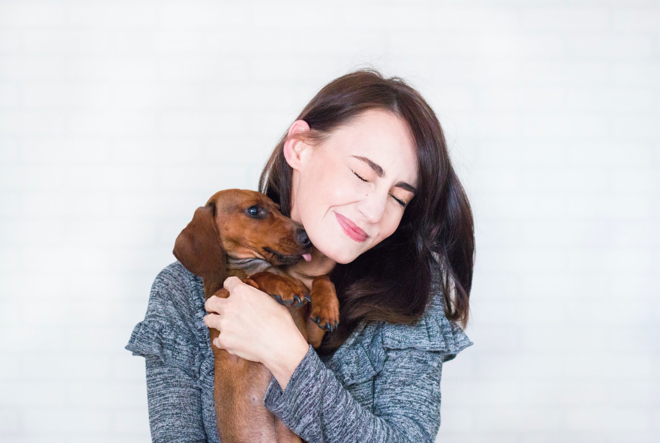 pet with owner