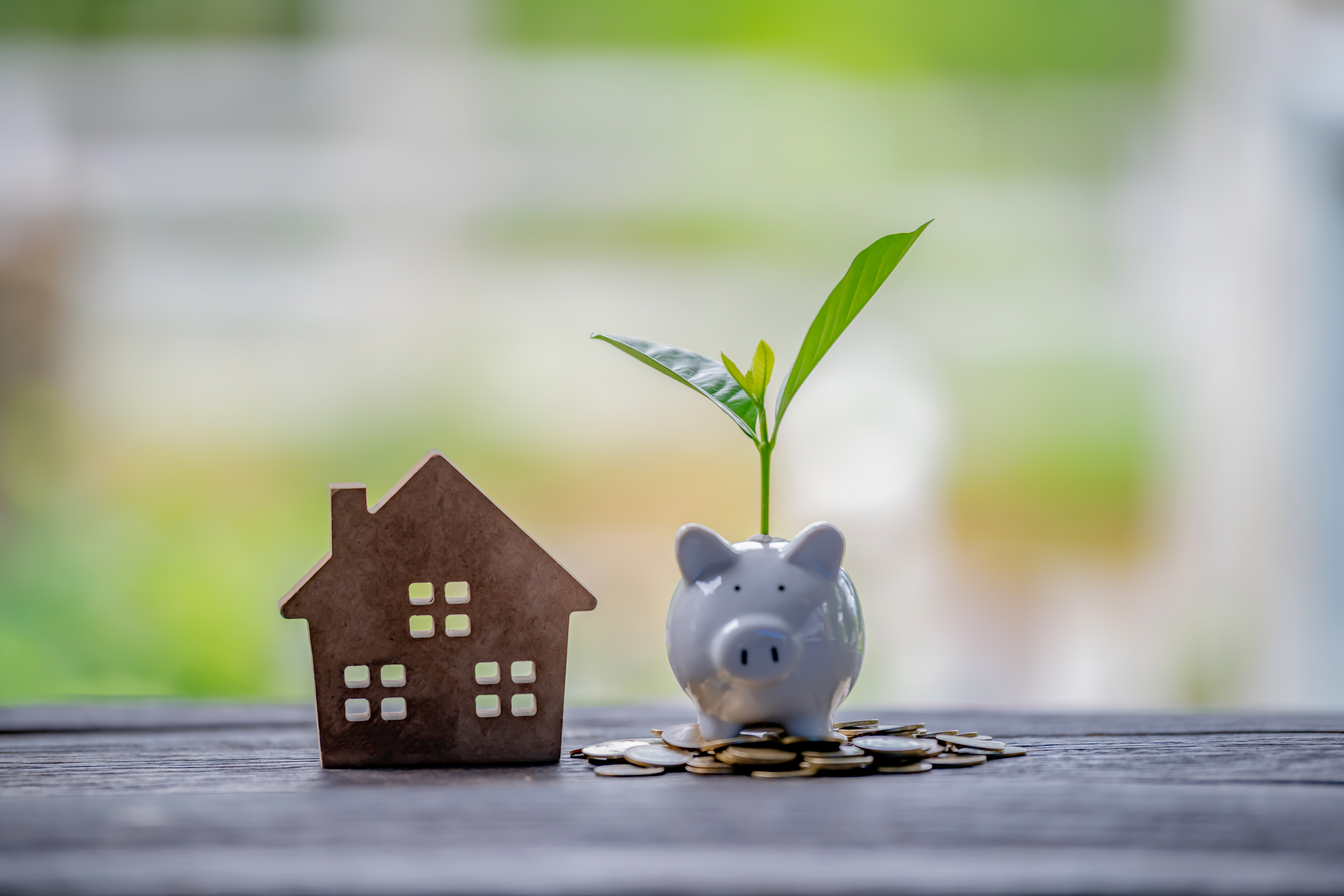 house piggy bank